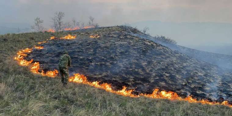 Шығыс Қазақстанда өрт сөндірушілер 26 аумақта дала өртін сөндіріп жатыр