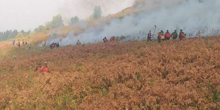 Шығыс Қазақстандағы өрт 700 га жерді шарпыды