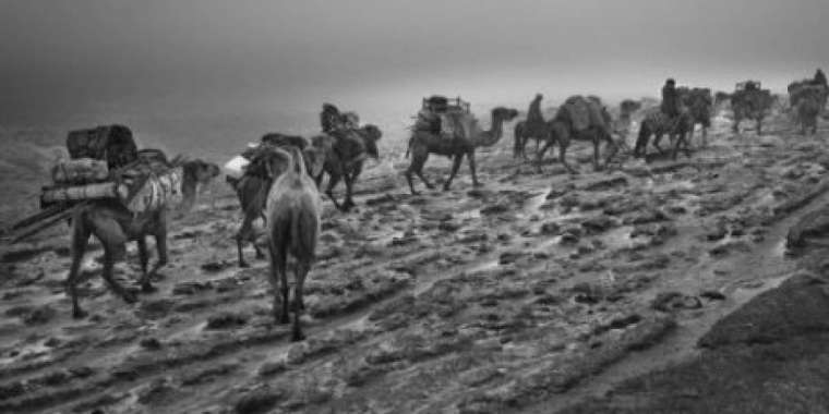 Гималай асқан көштің соңғы  куәгері: «Түркияға жеткенше маңдайымыз жазылмады, қабағымыз ашылмады»         