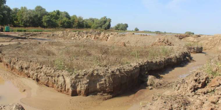 Өз көрін өзі қазған Алаш арысы