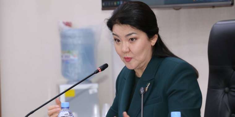 Министр Ажар Гиният обратилась в полицию - Биртанов