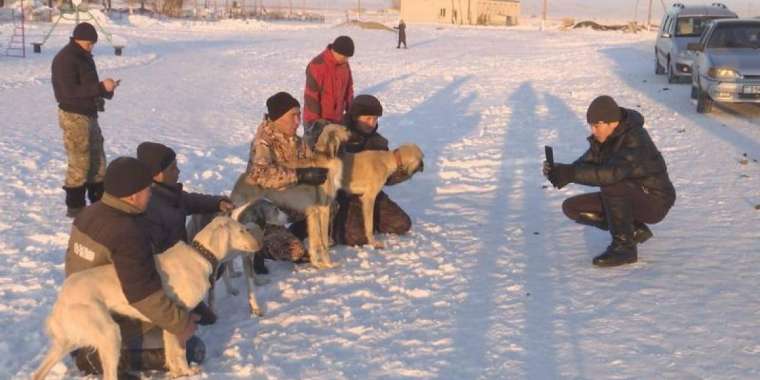 Әр үйінде тазы өсіретін ауыл