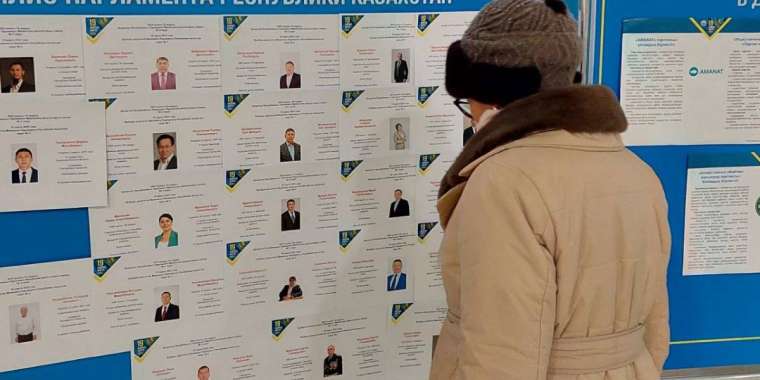 Петицию о признании выборов нелегитимными запустил экс-кандидат в депутаты