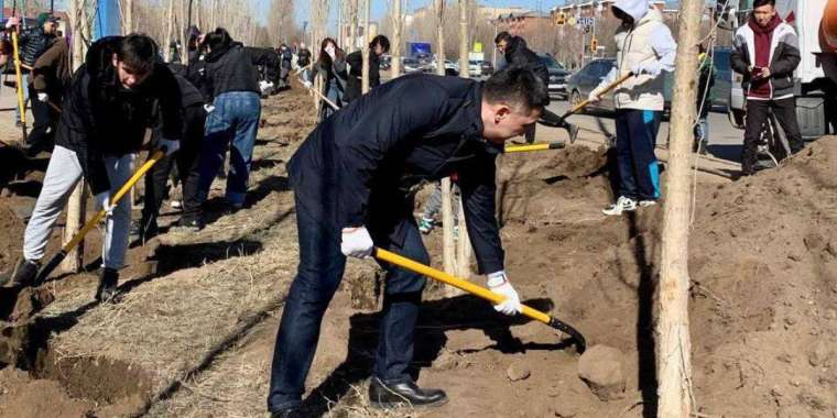 Астанада биыл бір миллион ағаш пен бұта отырғызылады