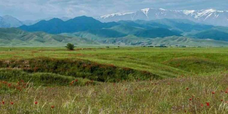 Қазақстанның жері Қытайға сатылып жатыр ма? Министрлік жауабы. 