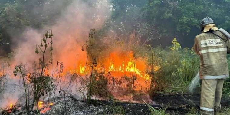 Абай облысындағы өрттен  14 орманшы көз жұмды  