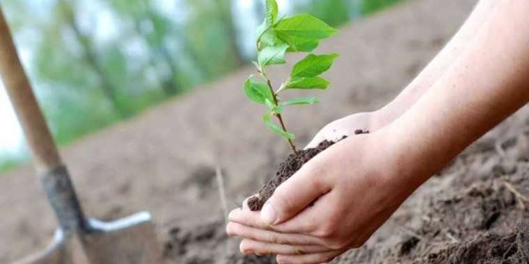 Жер мен елді, ұрпағыңды сақтағың келсе, ағаш ек!