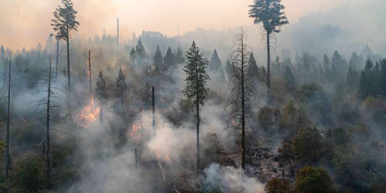 Қазақстандықтар өрттен зардап шеккендерге Kaspi.kz-пен бірге 200 млн теңге жинады