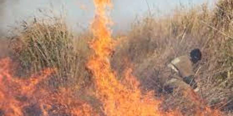 Абай облысында тағы да өрт