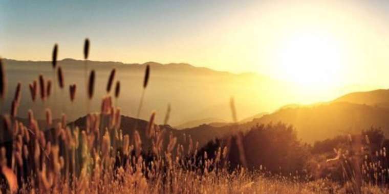 6 шілде планетадағы рекордтық ең ыстық күн болды