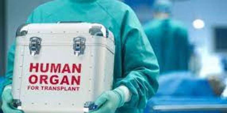 Оралда тұрғын өз бүйрегін шетелдікке 20 мың доллорға сатпақ болған