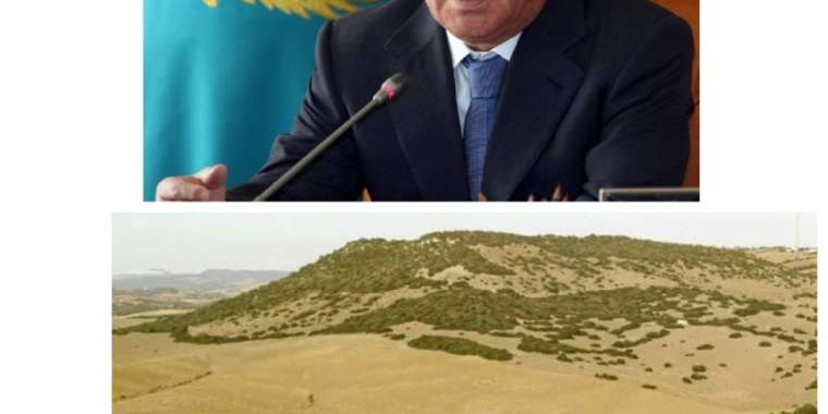 Назарбаевтың немере інісі Ахметжан Есімовтің заңсыз істері анықталуда