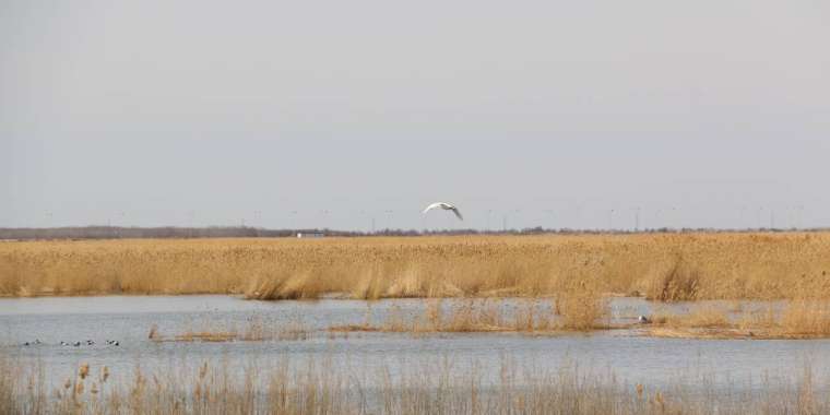 Сельхозземли переселенцам будут выдавать без конкурса