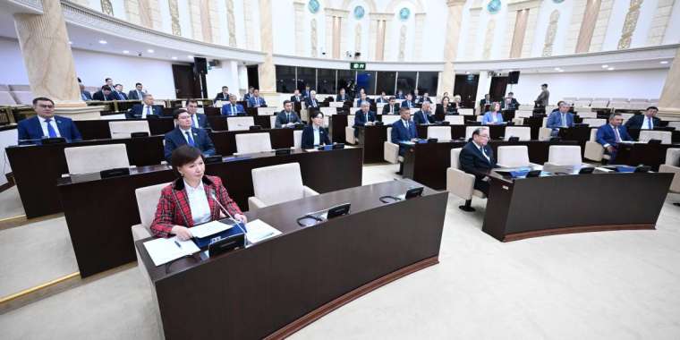 В парламенте ополчились против TikTok