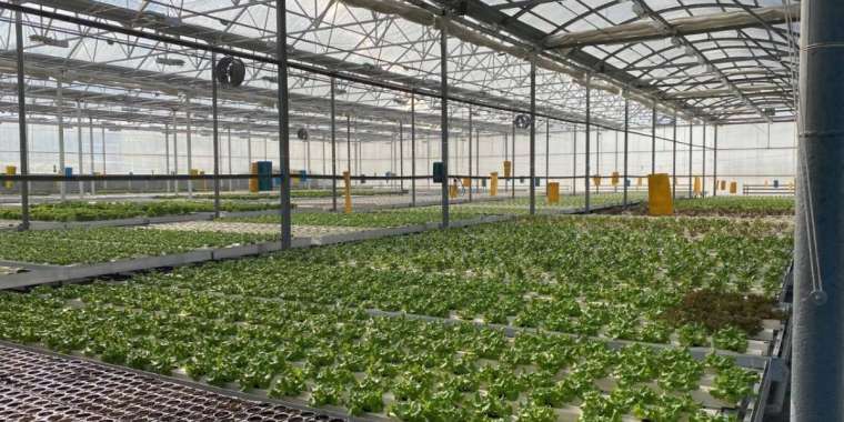 Еңбексүйгіш жандар ел игілігіне қызмет етуде