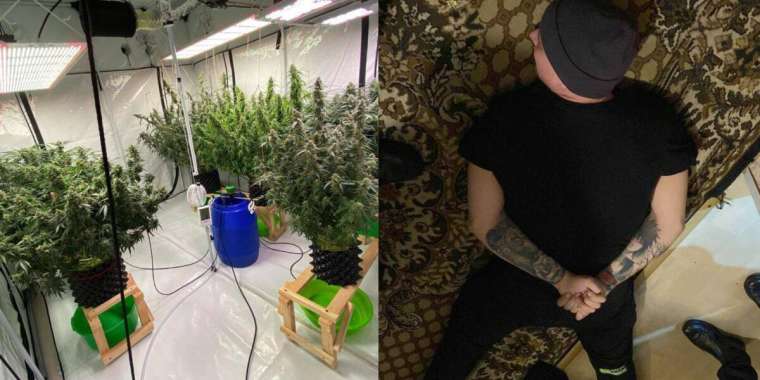 Қостанайда екі бөлмелі үйде есірткі өсіретін зертхана анықталды