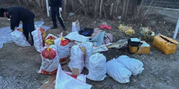 Жетісу облысында ақбөкен мүйізінің ірі партиясын тәркіленді