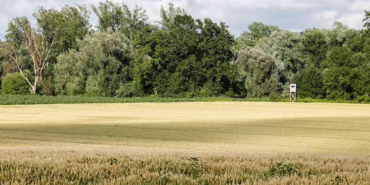 «Scat» әуе компаниясы жалға алған аңшылық алқап мемлекетке қайтарылды