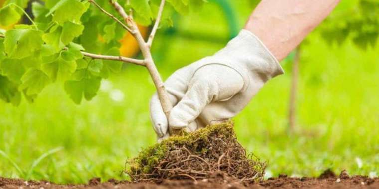 Наурызнама: Бүгін – Жаңару күні