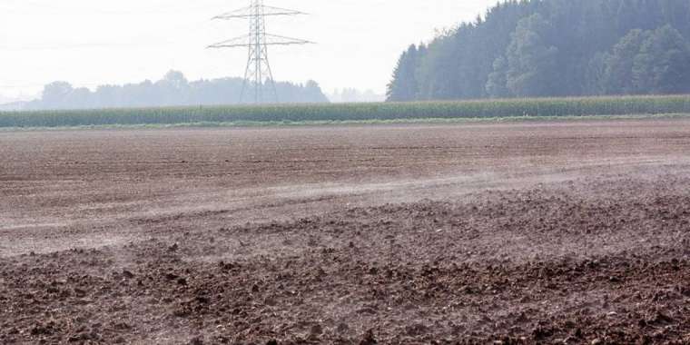 Ақмола облысында жерді шетелдіктерге жалға бергендер анықталды