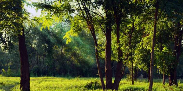 Табиғатты аялау  борышымыз