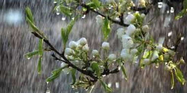 «Қар аралас жаңбыр жауады»: Синоптиктер ескерту жасады