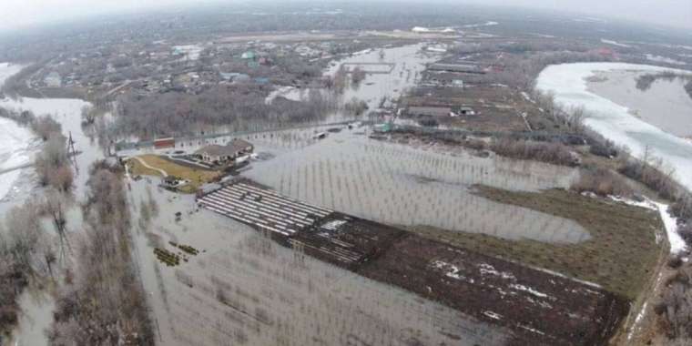 БҚО-да Жайық өзені бойында ұзындығы 40 шақырымнан асатын бөгеттер тұрғызылып жатыр