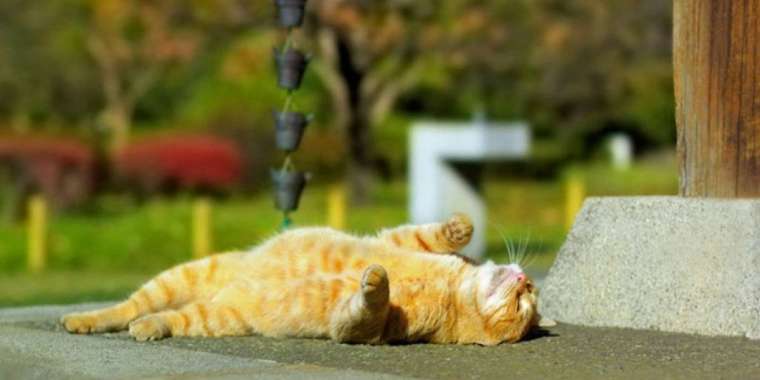 Елімізде мамырда күн 40 градусқа дейін ысиды