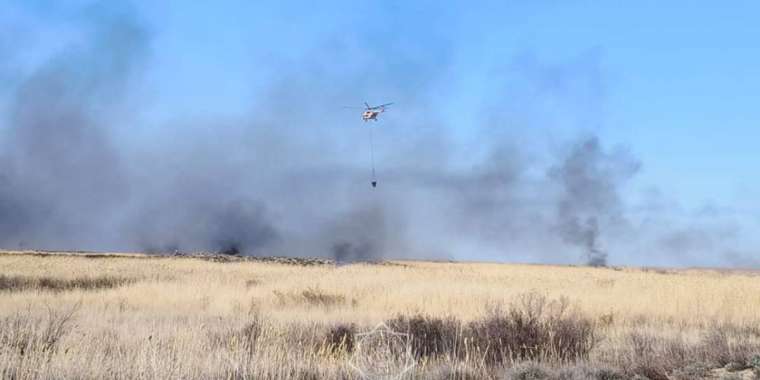 Алматы облысында құрғақ шөп пен қамыс өртеніп жатыр