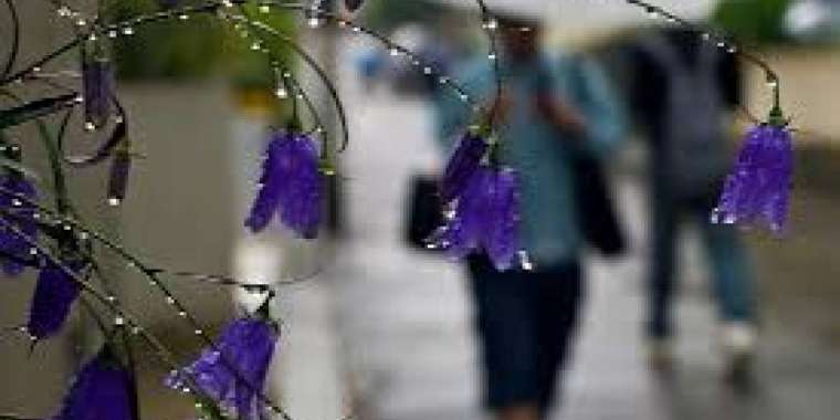 Найзағай, жаңбыр, бұршақ: Синоптиктер ескерту жасады