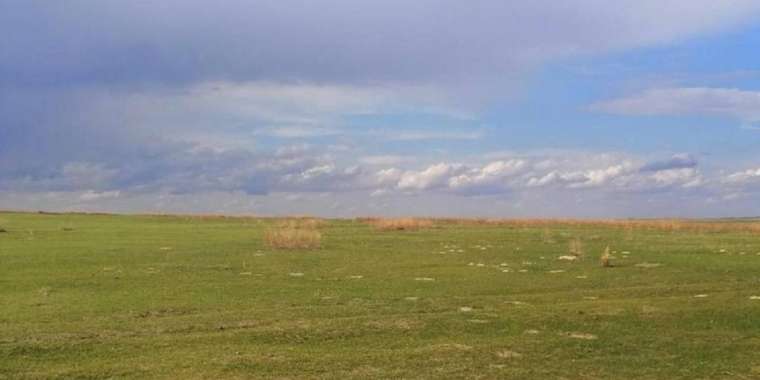 Абай облысында әкімдік жерге қатысты заңсыз қаулы шығарған