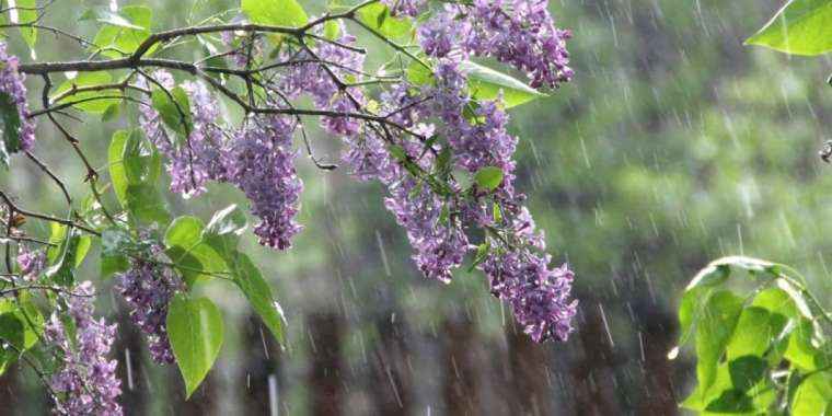 Алдағы күндері елімізде күн қайта суытады