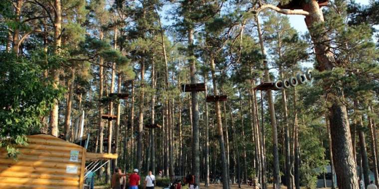 Бурабайда астаналық жасөспірім ағашқа соғылып, қаза тапты