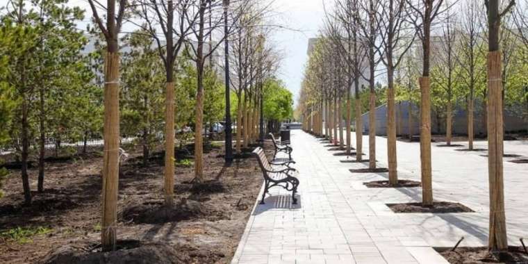 Елордада жаңа желекжол ашылады