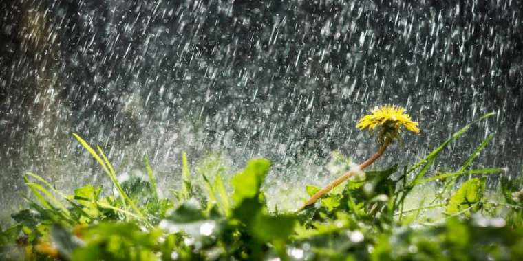 «Найзағай түсіп, жаңбыр жауады». «Қазгидромет» сенбіге болжамын жариялады