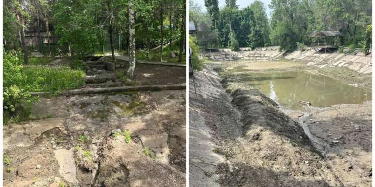 Алматыдағы Тереңқұр аллеясының көрінісі жұрттың жағасын ұстатты