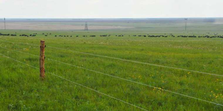 Ақтөбеде әкімдіктің жер телімдерін заңсыз бергені анықталды