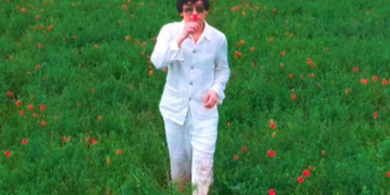 «11 млн айыппұл». Қайрат Нұртас гүл жұлып, жұртты шулатты