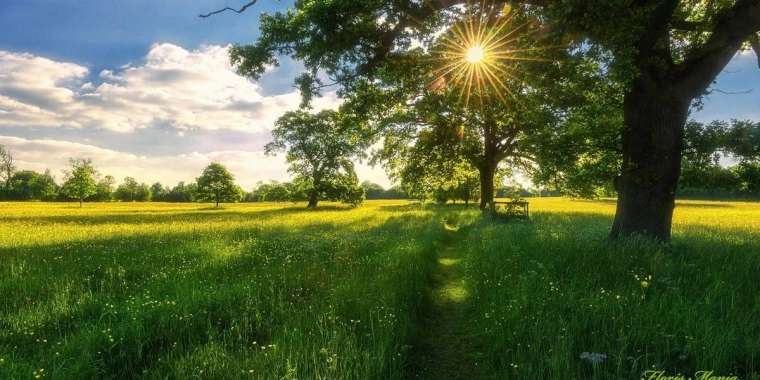 Маусымда ауа температурасы қалыпты болады