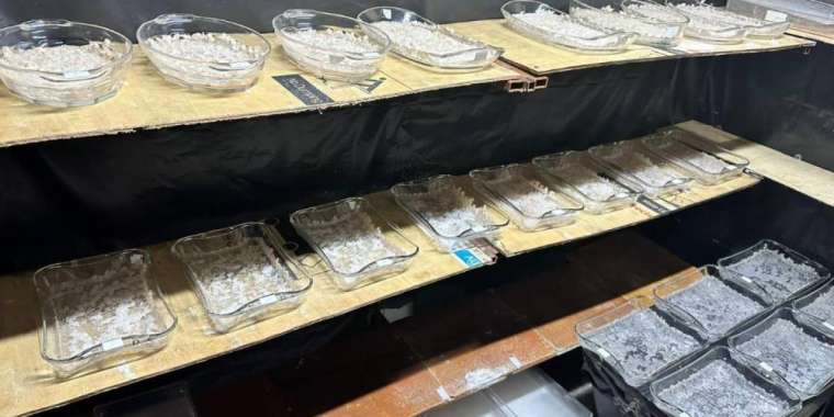 7 келі меф, 200 литр прекурсор... ҰҚК Алматыда есірткі зертханасын тапты (ФОТО, ВИДЕО)