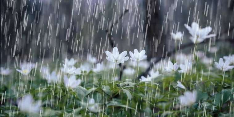 Бүгін ауа райы құбылмалы болады