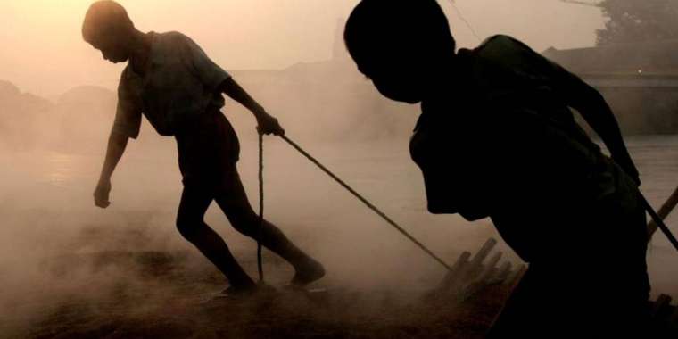 «Ит-мысықтың етін берген»: Шымкентте 6 бала асырап алған ер адам оларды қорлаған