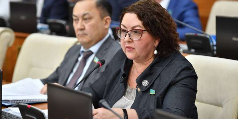 «Болашақ» бағдарламасының бізге қажеті жоқ – депутат