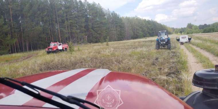 Семей орманында шөбі өртене жаздады