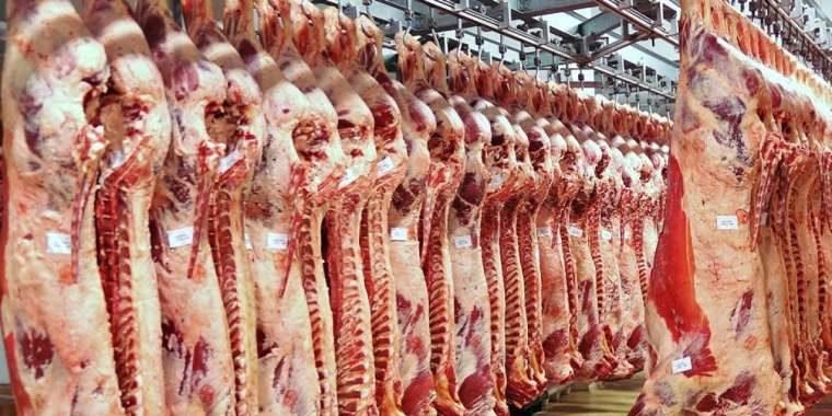 Түркия ет экспортына салынған шектеудің күшін қойды