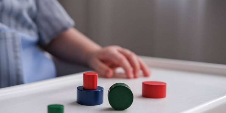 Елімізде асыранды балалардың құқығын күшейтетін заң қабылданады