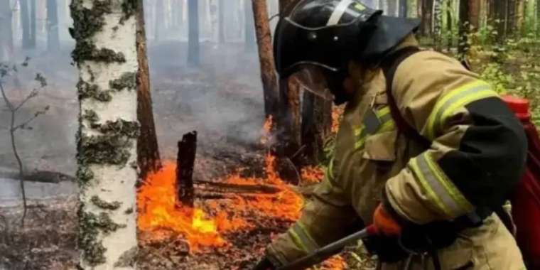 ШҚО-да 6 орман және 12 дала өрті сөндіріліп жатыр