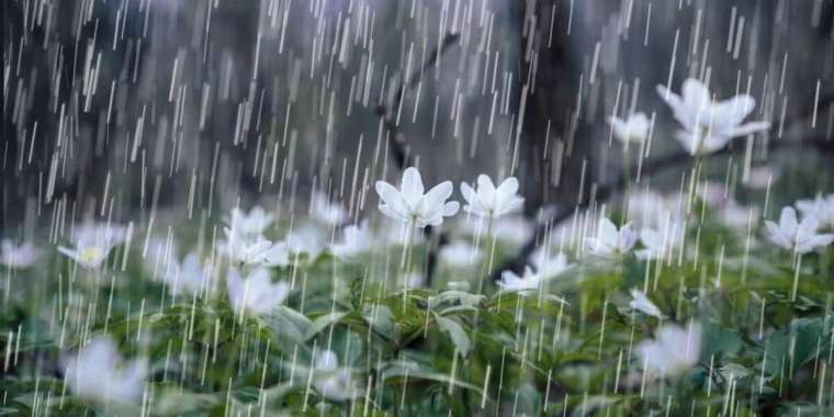 Елімізде күн салқындап, жаңбыр жауады