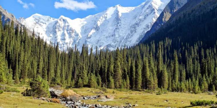 Алматыда 7 бірдей жасөспірім таудан түсе алмай қалған