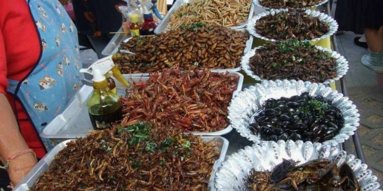 Сингапурде жәндіктің 16 түрін жеуге рұқсат берілді